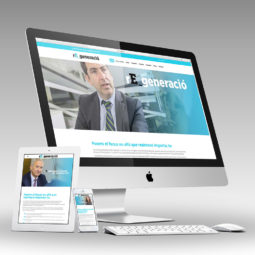 Diseño web - Regeneració COEIC