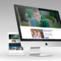 Diseño web Escoles Manyanet