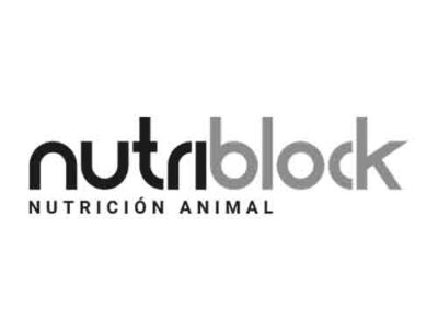 Logotipo cliente Nstudio - Nutriblock